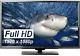 50 LED 1080p Full HDTV Flat Screen Wall Mountable HDMI Monitor MHL Swivel Stand