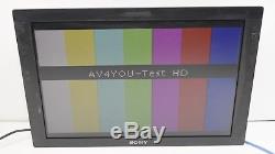 Sony 24 LCD Monitor LMD-2451W High Grade Multi-Format with BKM-243HS (no stand) #2